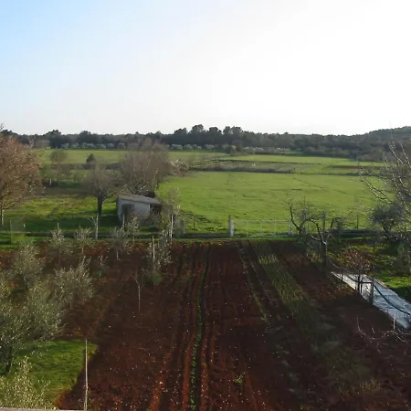 With Parking Space - 7420 Daire Pula