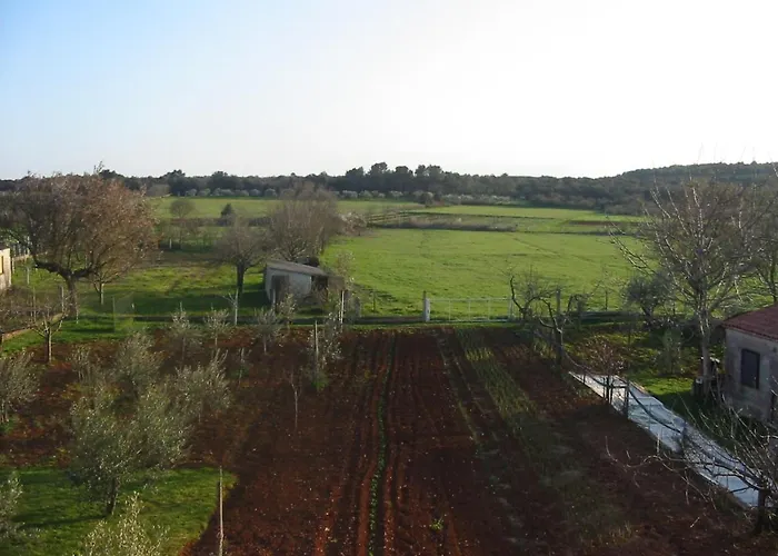 With Parking Space - 7420 Daire Pula